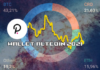 Portafoglio altcoin 2021 | Gennaio e Febbraio
