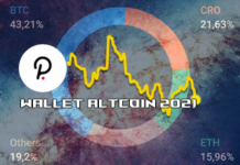 Portafoglio altcoin 2021 | Gennaio e Febbraio