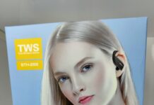SHENXI Earbuds: il peggio del peggio