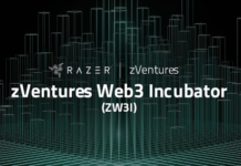 RAZER | progetti ed esperienze di gioco Web 3.0 innovativi