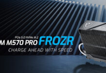 MSI ha presentato SPATIUM M570 PRO FROZR