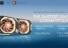 GeForce RTX 4080 SUPER Noctua OC Edition