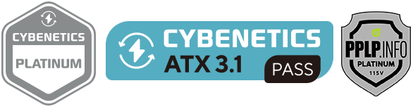 ENERMAX PlatiGemini ATX 3.1